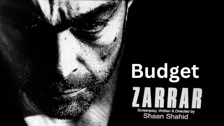 Zarar Movie Budget